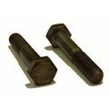 Hex Bolt Metric